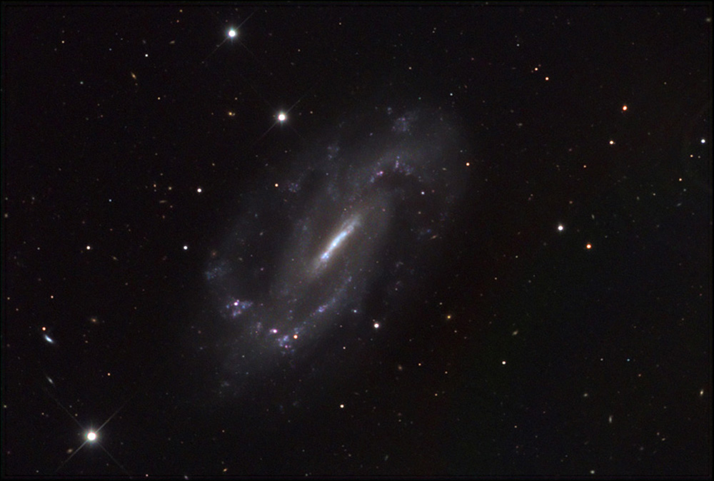 NGC%203319.jpg